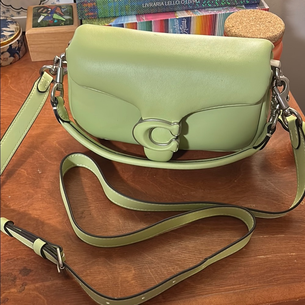 Coach Pistachio Green Pillow Tabby 18